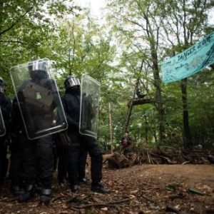 Räumung Hambacher Forst