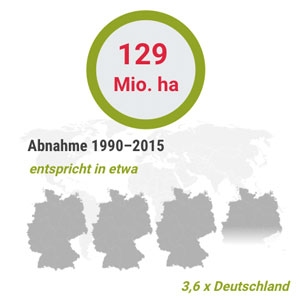 Rückgang des Waldbestands