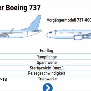 Die Boeing 737 Max