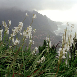 Busunglück auf Madeira