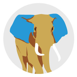 Wie sich Tiere bei Hitze abkühlen