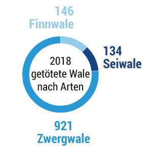 Weltweiter Walfang
