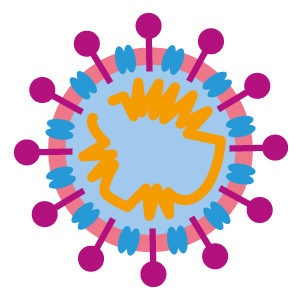 Coronavirus SARS-CoV-2