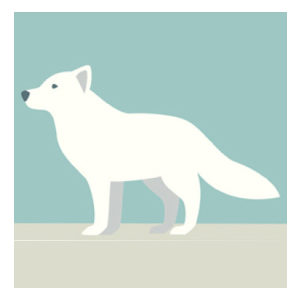 Der Polarfuchs