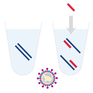 How does the coronavirus test work
