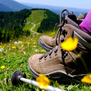 MIT VIDEO Kalorienverbrauch beim Joggen und beim Wandern || MIT VIDEO