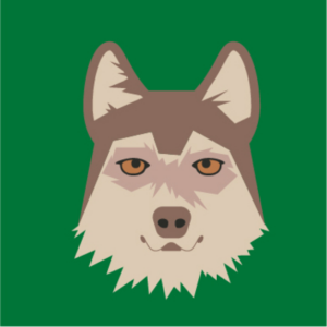 Der Wolf