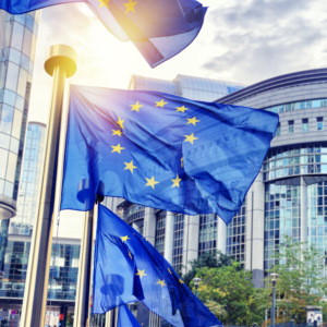 European Election 2024