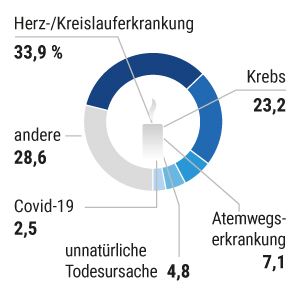 Todesursachen