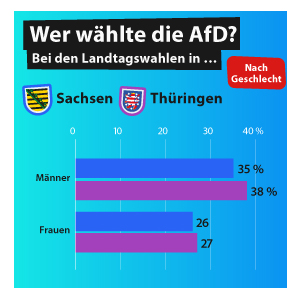 Wer wählte die AfD?
