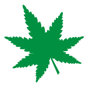 Cannabiskonsum