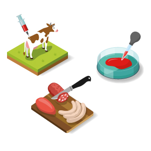Fleisch aus dem Labor