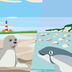 Unterwegs an Nordsee und Ostsee