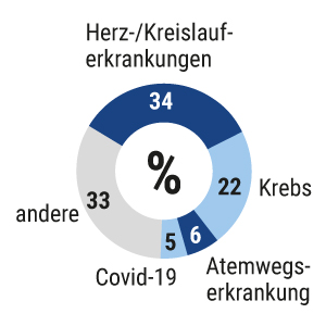 Todesursachen