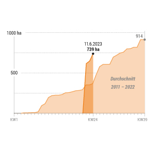 Waldbrände in Deutschland