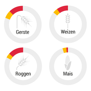 Weltweite Produktion von Getreide