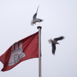 Bürgerschaftswahl Hamburg 2025