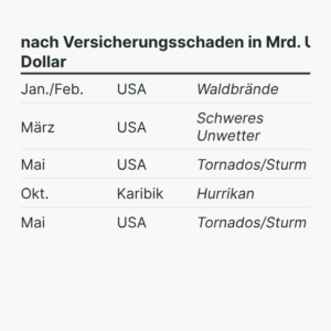 Die folgenschwersten Naturkatastrophen 2025
