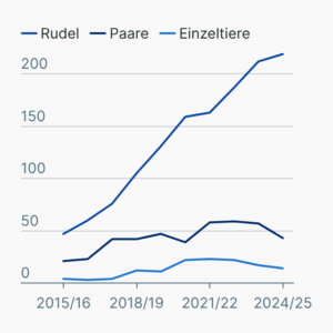 Wölfe in Deutschland